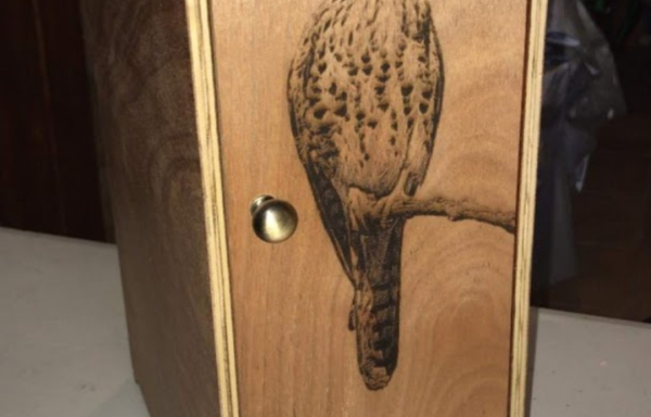 Transportin Pequeño